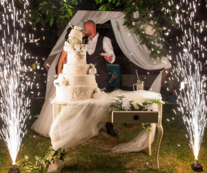 ������� ��������� - ����