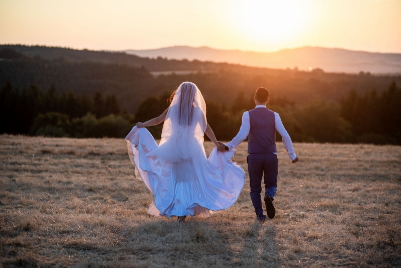 ������� �������� - ����