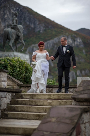 ������� �������� 41