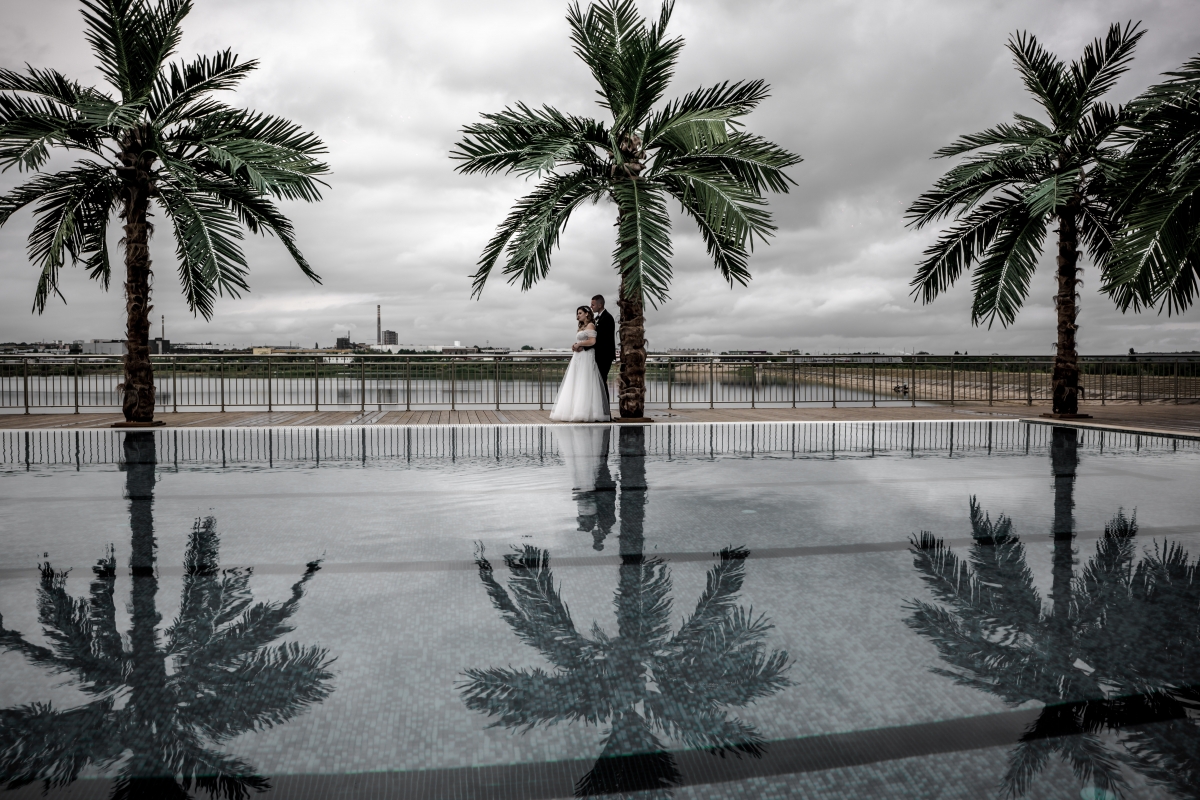 �������� ������ ����� - ������